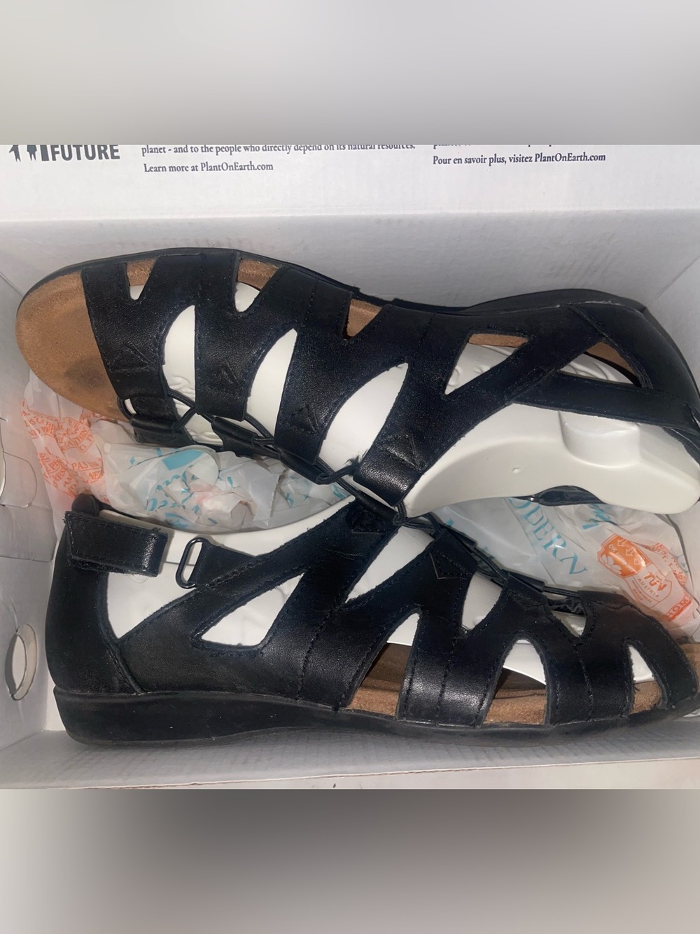 Earth Black Gladiator Comfort Sandals